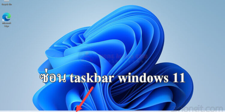 ซ่อน taskbar windows 11