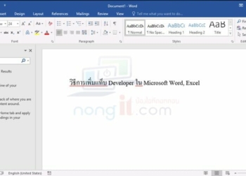 แท็บ developer