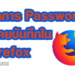 ดู Password ใน Mozilla Firefox