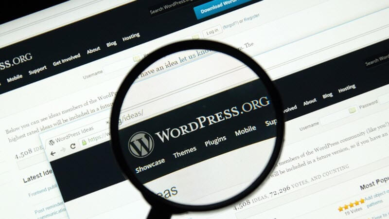 หลัก 5 ข้อ ทำเว็บไซต์ WordPress ให้ปังกว่าใคร
