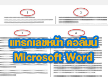 แทรกเลขหน้า 2 คอลัมน์