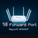 วิธี Forward Port Skyworth