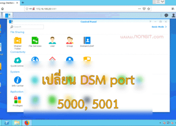 เปลี่ยน port dsm synology