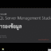 สำรองข้อมูล sql server