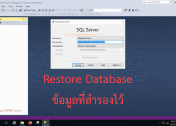 วิธี Restore Database ข้อมูล SQL Server