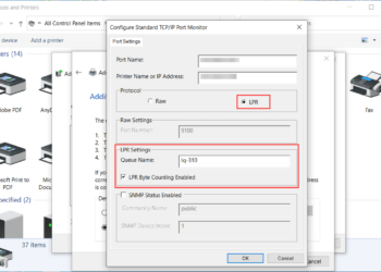 LPD Print Service in windows 11/10
