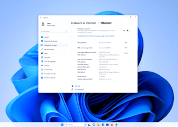 Enable DHCP Windows 10/11