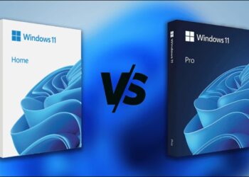 windows 11 home กับ pro
