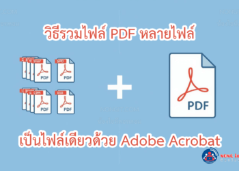 ภาพกราฟิกแสดงขั้นตอนการรวมไฟล์ PDF หลายไฟล์ให้เป็นไฟล์เดียวด้วยโปรแกรม Adobe Acrobat Pro