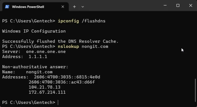 Command Prompt แสดงผลคำสั่ง ipconfig /flushdns และ nslookup